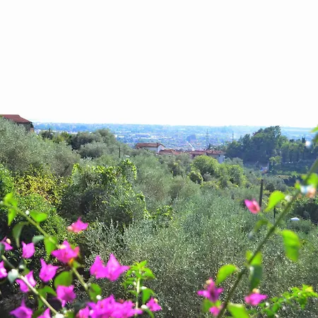Belle Epoque - Lavillaimperiale.it Bed and breakfast 5*