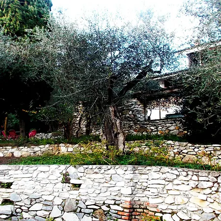 Bed and breakfast Belle Epoque - Lavillaimperiale.it 5*